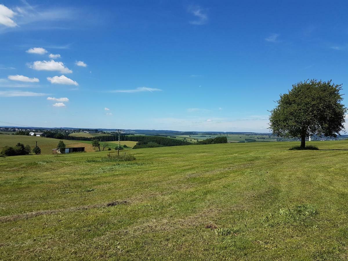 Eifel Dream Schneifelhaus Villa Kobscheid Kültér fotó